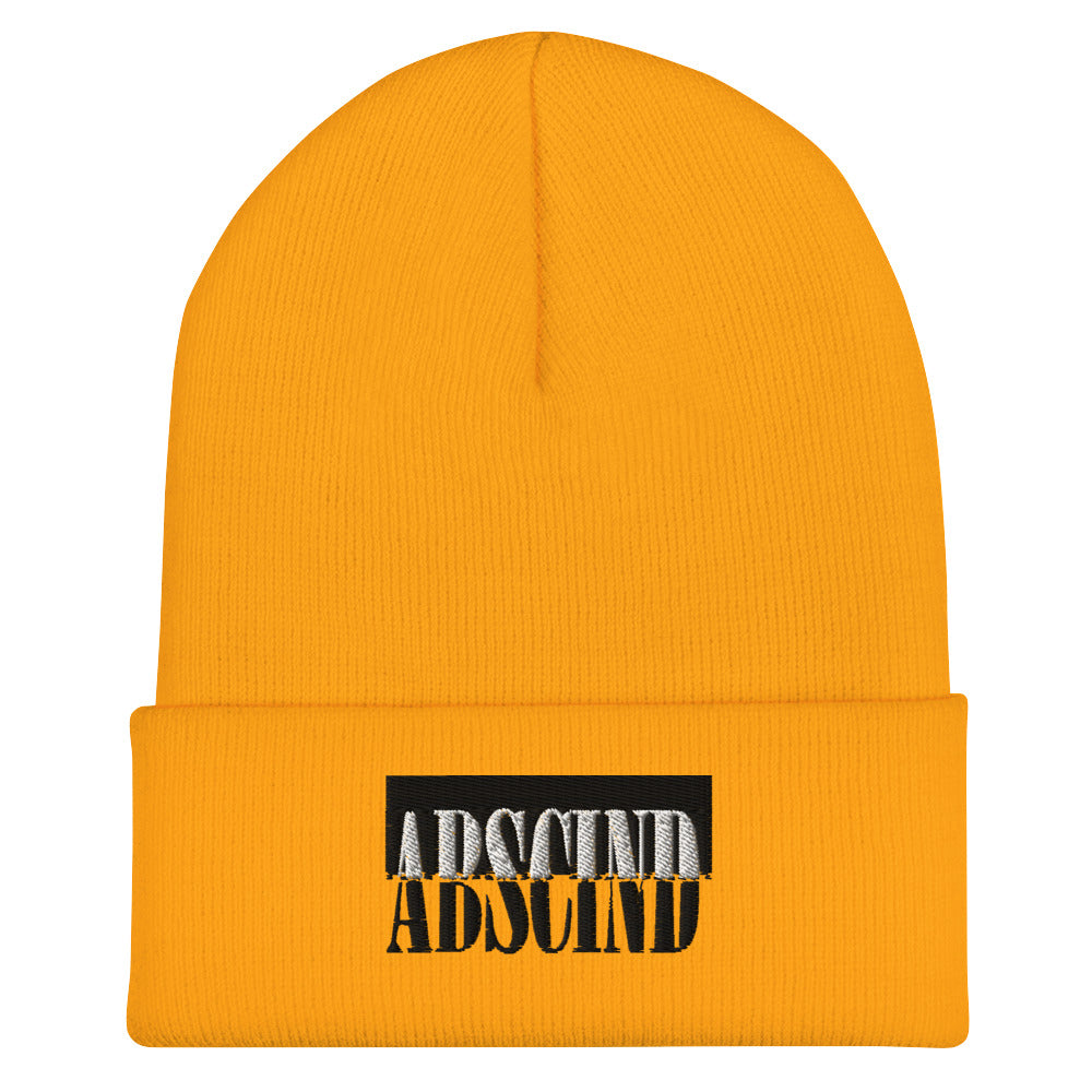 Abscind Cuffed Beanie